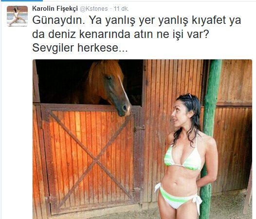 karolin-ic