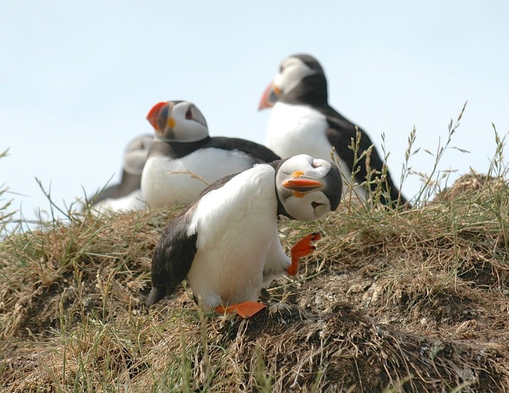 2.Photo by Mary Swaby