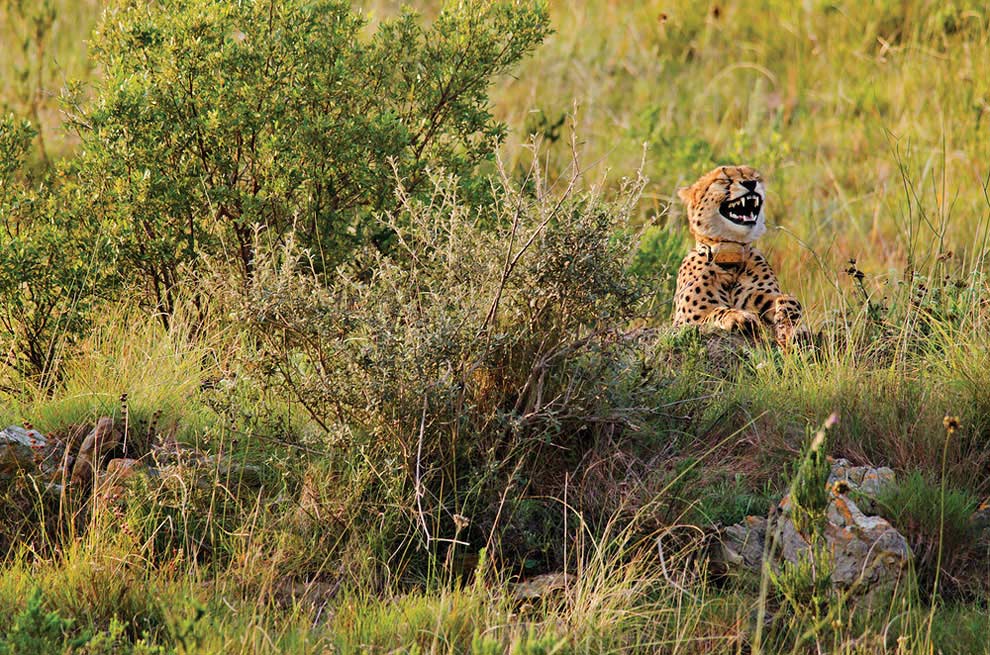 4.Photo by Dutton Robert