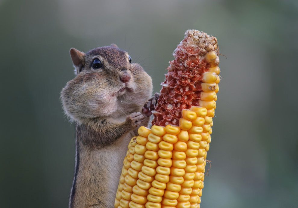 6.Photo by Barb D'Arpino