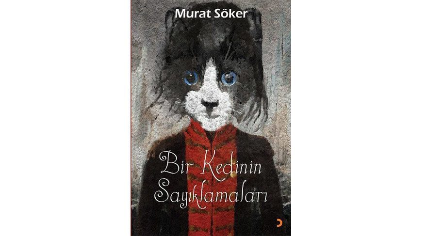bir-kedinin-sayiklamalari