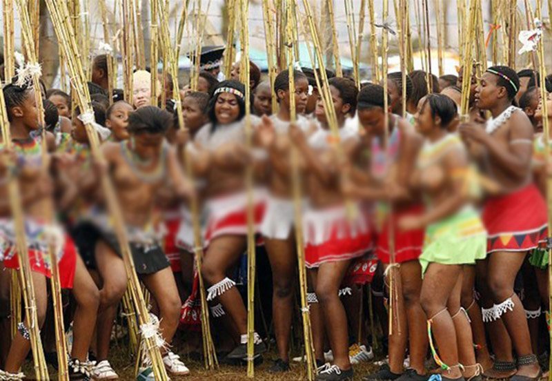 Güney Afrika'da Svaziland Krallığı'ndaki Ludzidzini Royal köyünde geleneksel "Umhlanga" festivali başladı. Festivalde toplanan binlerce genç kız, geleneksel kıyafetleri ve ritüelleriyle şarkılar eşliğinde dans ederek katıldı.