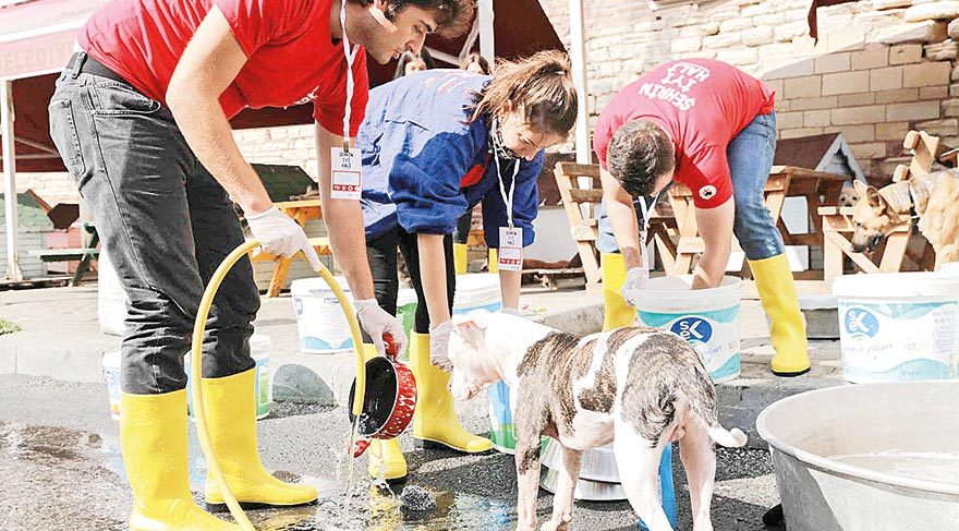 Genç gönüllüler şehirlere iyilik taşıdı