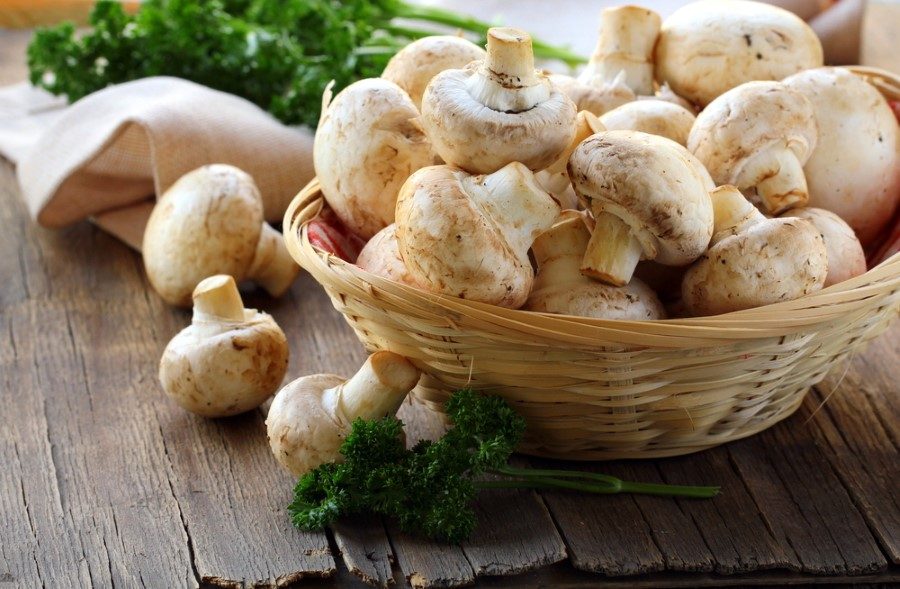 Düğme Mantarlar </br>Selenyum, B vitaminleri, riboflavin, niasin ve antioksidan kaynağı olan mantar özellikle üst solunum yolu enfeksiyonları riskini düşürme konusunda etkilidir.