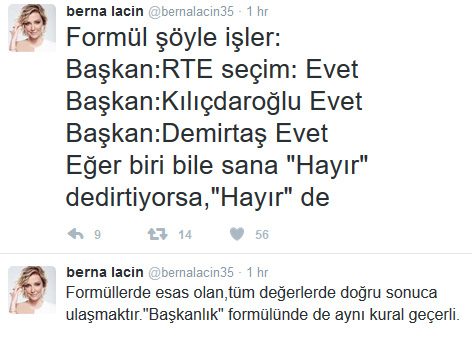 berna-lacin-ic