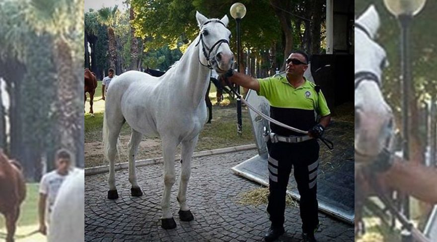 Fethi Sekin canı bahasına sübut etdi ki, PKK kürdləri təmsil etmir Fethi Sekin canı bahasına sübut etdi ki, PKK kürdləri təmsil etmir