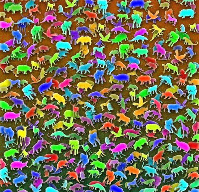 3db1545a00000578-0-image-a-1_1488102450595