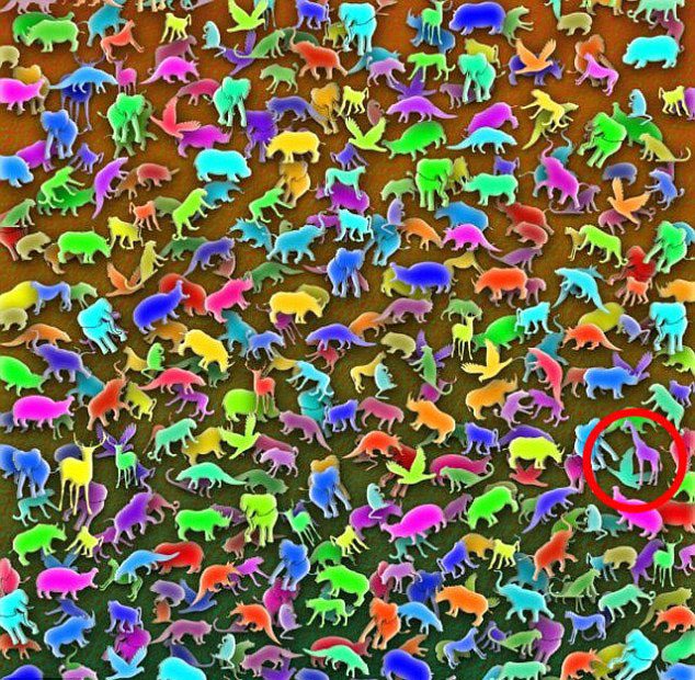 3db1546600000578-0-image-a-2_1488102493712