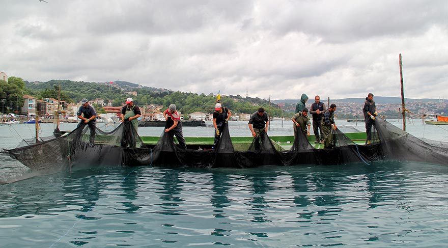 Fotoğraf: Tansu Ömür