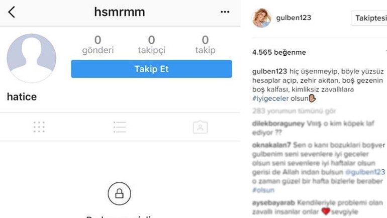gulben-ic