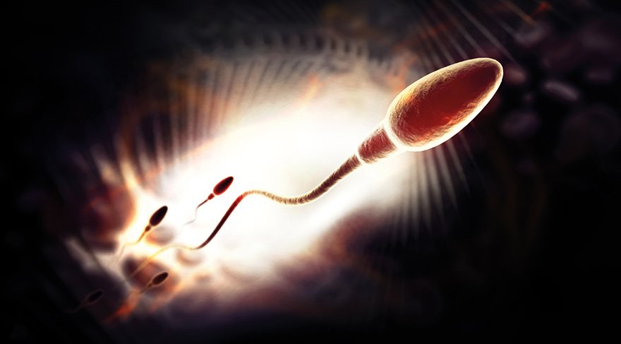 Tüp bebekte yeni keşif: Sperm radarı