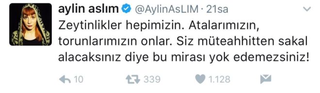 aylinaslim