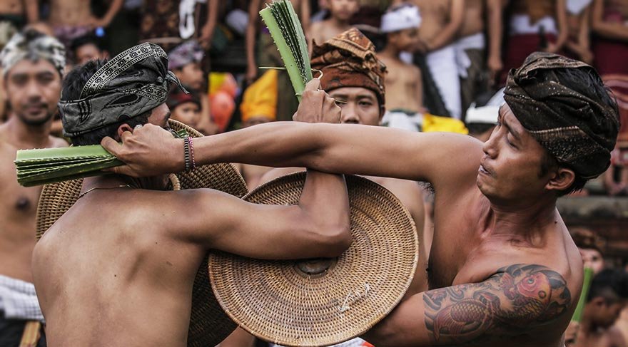 Bali’de geleneksel dikenli yaprak savaşı