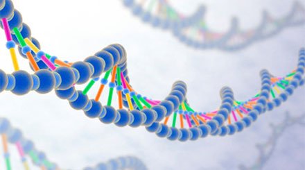 genetik-2