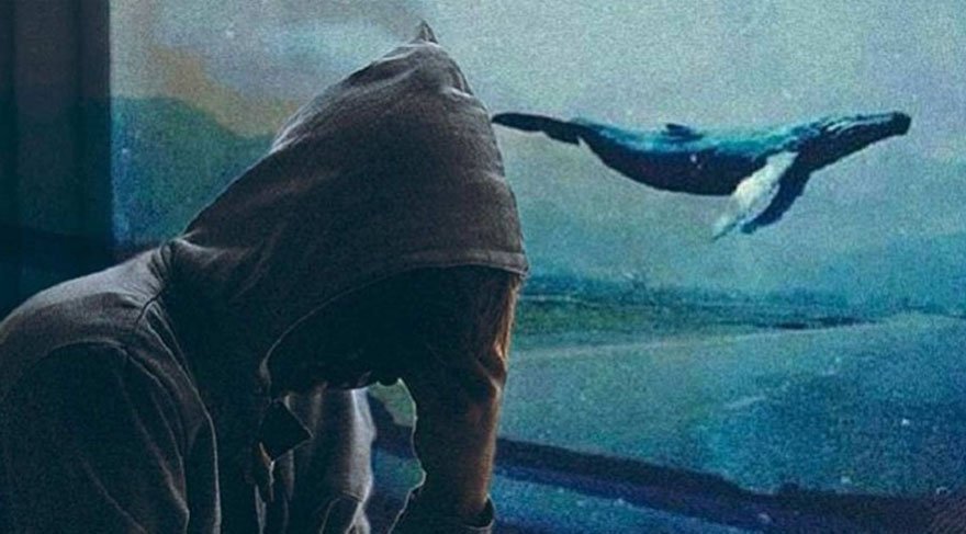 Mavi Balina Nedir? | Whale Blue görevleri Nelerdir? (Mavi Balina cezası ne?) mavi balina nedir ile ilgili görsel sonucu