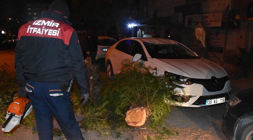 İZMİR'in Bayraklı ilçesinde etkili olan şiddetli rüzgar nedeniyle park halindeki bir otomobilin üzerine devrilen 2 ağaç maddi hasara neden oldu. ile ilgili görsel sonucu