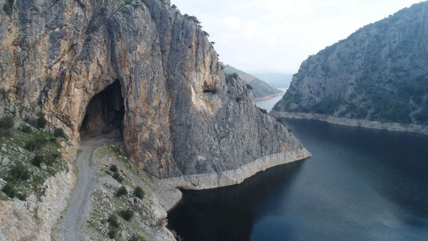 Yarasalar için suni mağara yapıldı
