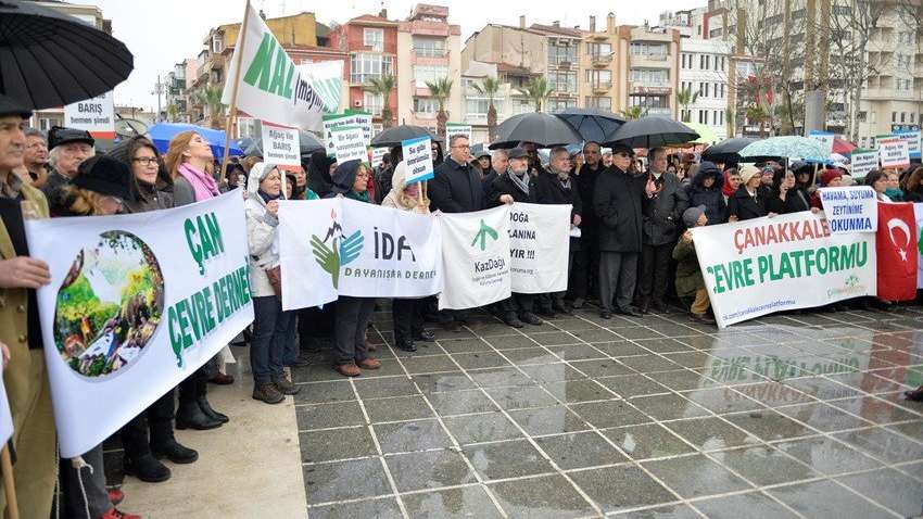 Danıştay’a rağmen binlerce ağaç kestiler
