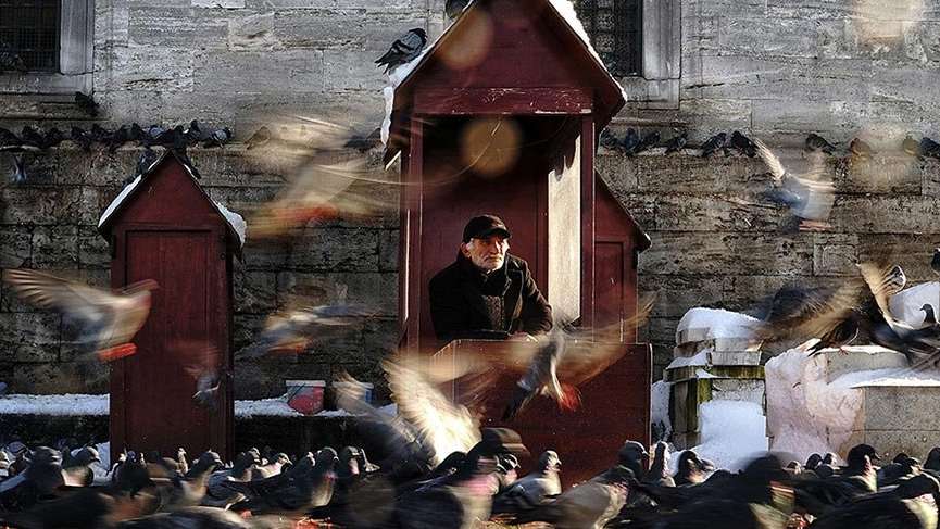 Niko Guido’nun öncülüğünde “İstanbul 365 Gün” sergisi açılıyor