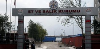 Dolandırıcılığı şikayet etti, sürgün yedi