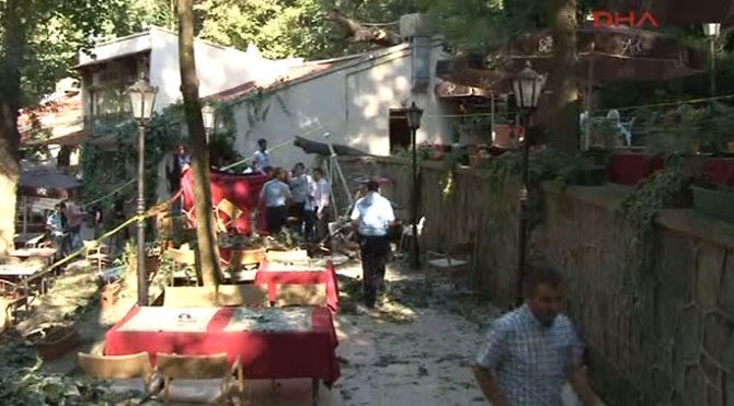 Beykoz’da ağaç faciası: 2 ölü