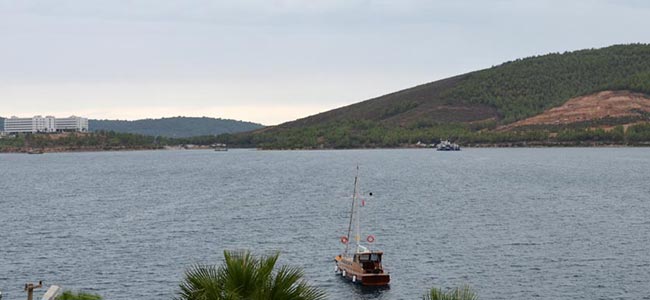 orman-yangını-650