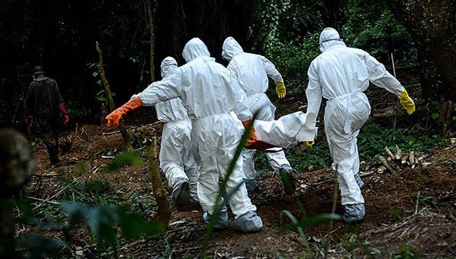 'Ebola 2015'te bitecek' - Sağlık son dakika haberler