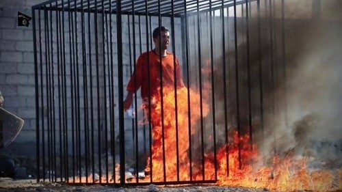 Moaz al-Kasasbeh-10 (Custom)