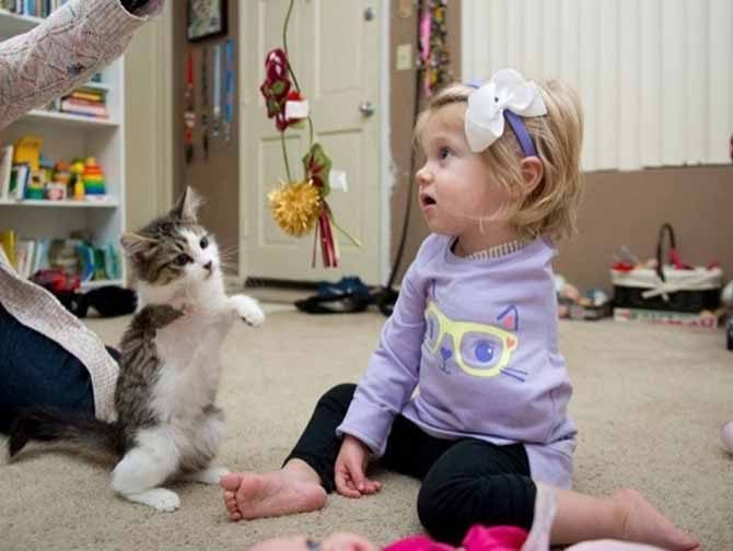 Kolu kesilen küçük kıza 3 bacaklı kedi hediye ettiler Son dakika