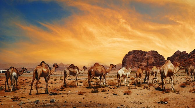 Kadınlara özel spor programı