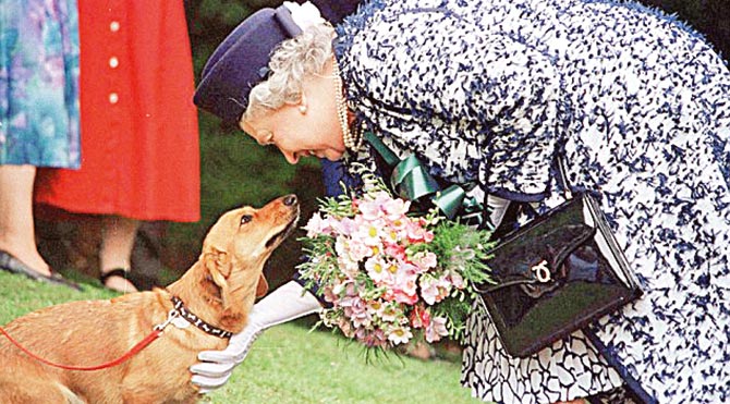 Kraliçe’nin şanslı köpekleri