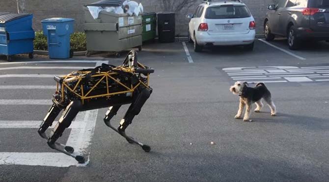 Robot Kopek Gercek Kopekle Karsilasirsa Son Dakika Dunya Haberleri