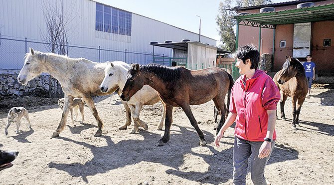 Evini satıp hayvanlar için çiftlik kurdu