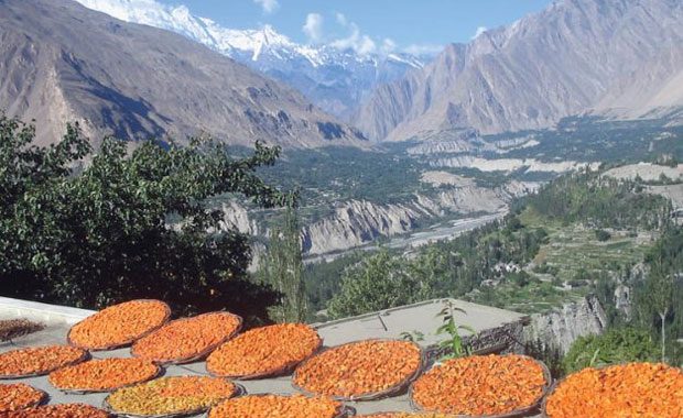 Hunza Türkleri Hun Türklerinden geliyor. Pakistan ve Hindistan sınırında yaşayan bu insanların çok ilginç bir özelliği var..