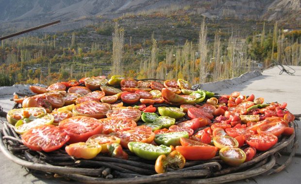 Hunza Türklerinin çok ilginç bir yanı da burada hiç kanser vakasının yaşanmaması...