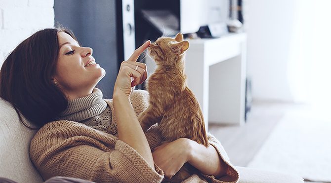Kedi besleyen yalnızlığı, köpek besleyen arkadaşlığı seviyor
