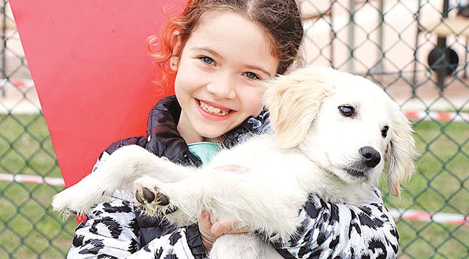 Köpekler kupa için yarıştı