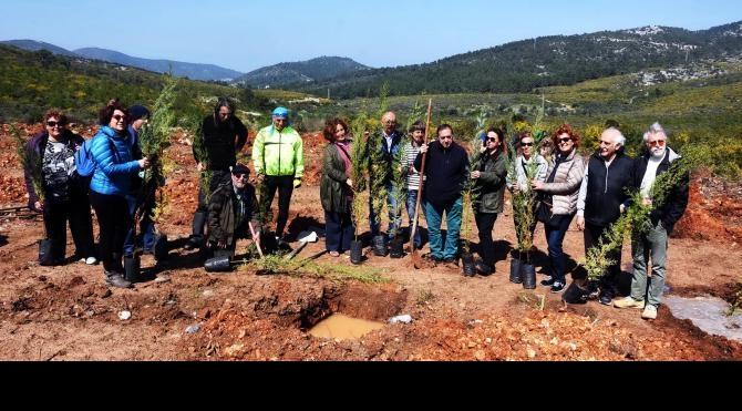 Ankara'da ölenler anısına Bodrum'da akıllı orman