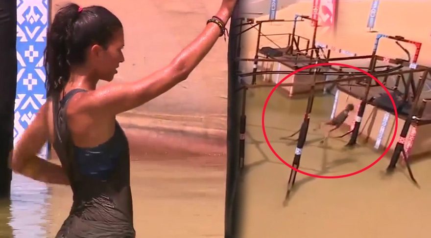 Survivor 2016’da korkutan kaza