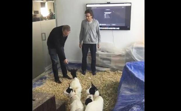 "Ve o an.. İçeri girer girmez içten bir kahkaha patlattı ve Aşık oldum dedi."
