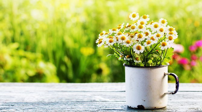 bahar 17. yılına giren Naturel Beden, Zihin ve Ruh Sağlığı Festivali'nde ise doğal ve sağlıklı yaşam temasının geniş yelpazesinde tamamlayıcı tıp, kişisel gelişim, sağlıklı beslenme gibi çeşitli konular uzmanlar tarafından işleniyor.