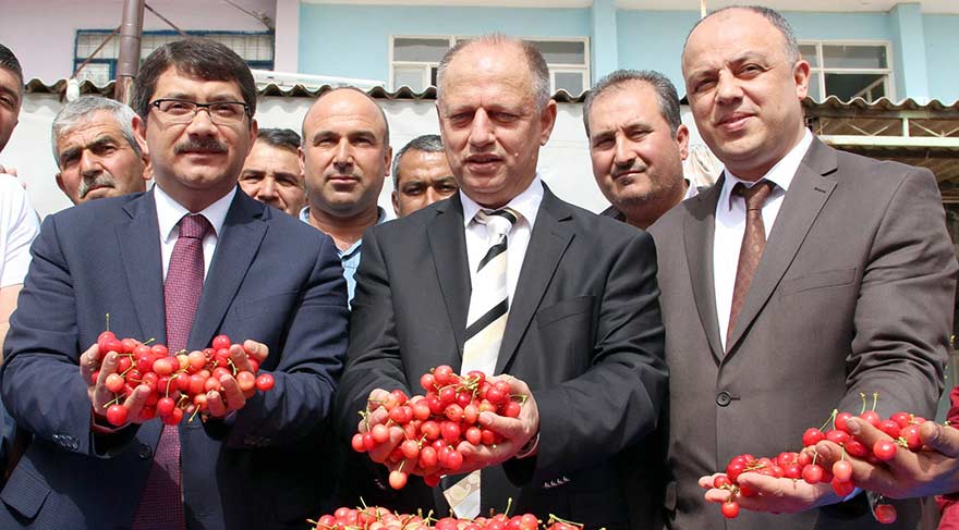 Kuzey yarım kürenin ilk kirazı 200 tl