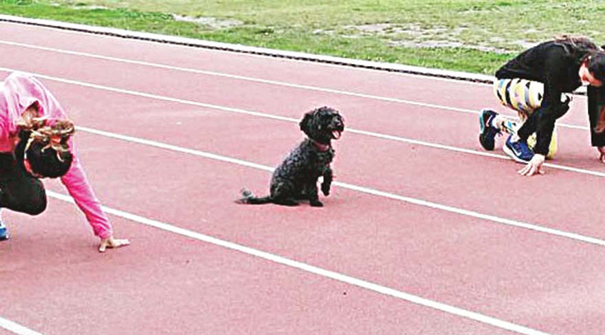 Atletizm sahasının maskotu Pati