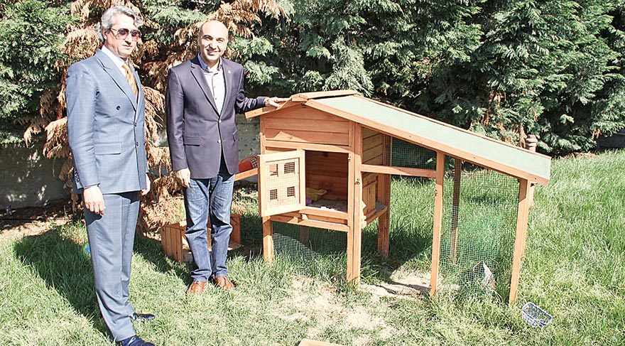 Hayvan sevgisi mekan tanımaz!
