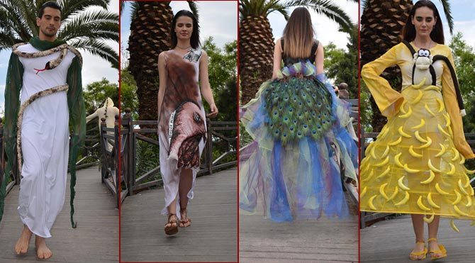 Darıca’da ilginç bir defile!