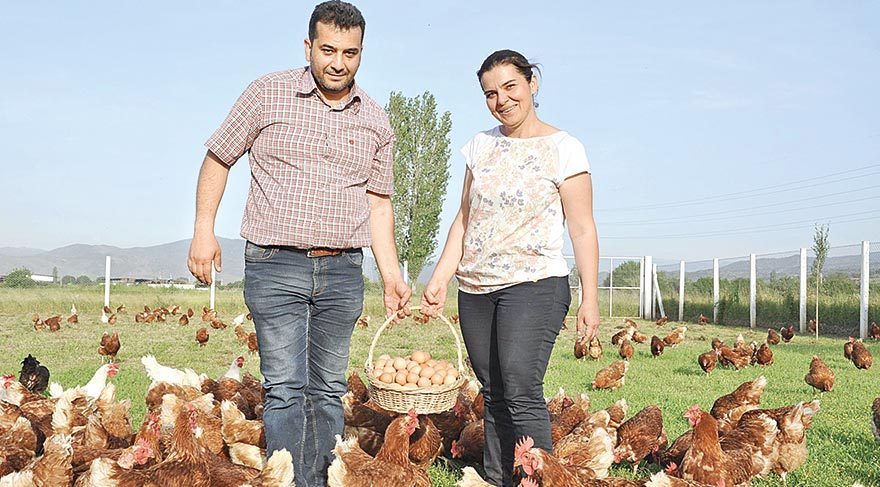 Üç tavukla başladılar şimdi marka oldular