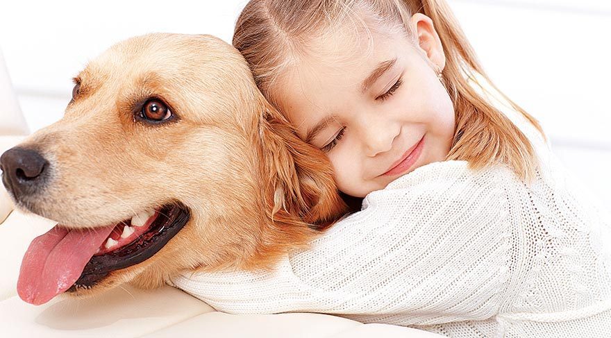 Köpeğinize sarılmayın!