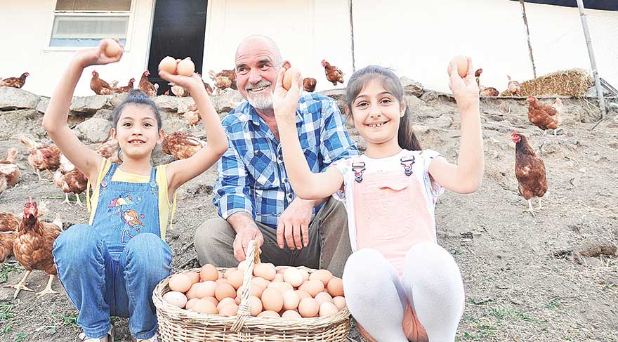 Torunları için çiftlik kurdu