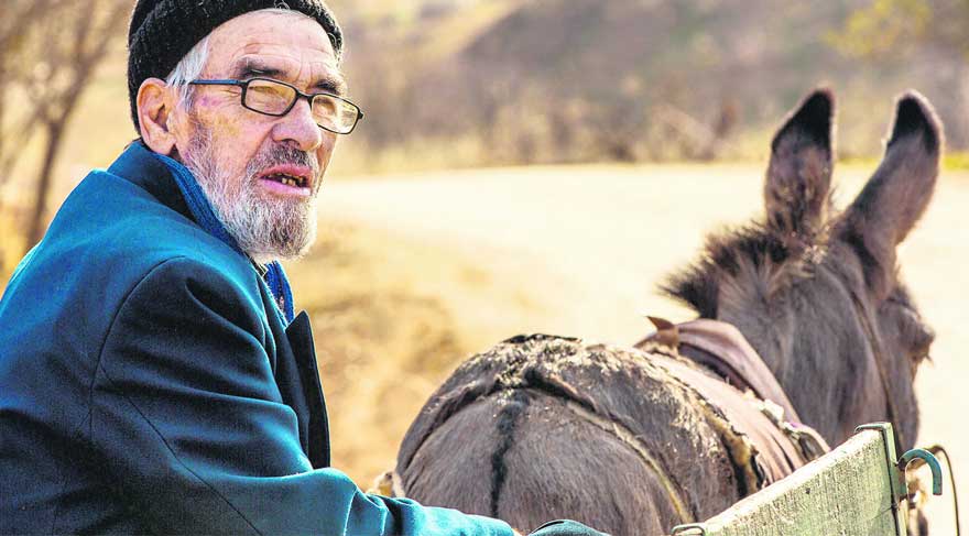 Köylülerden komedi filmi: Arama Motoru