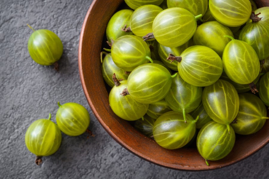 Bektaşi üzümü, A, B, C ve E vitaminleri bakımından zengindir. Aynı zamanda zengin bir potasyum, fosfor, manganez, bakır ve demir deposudur.
